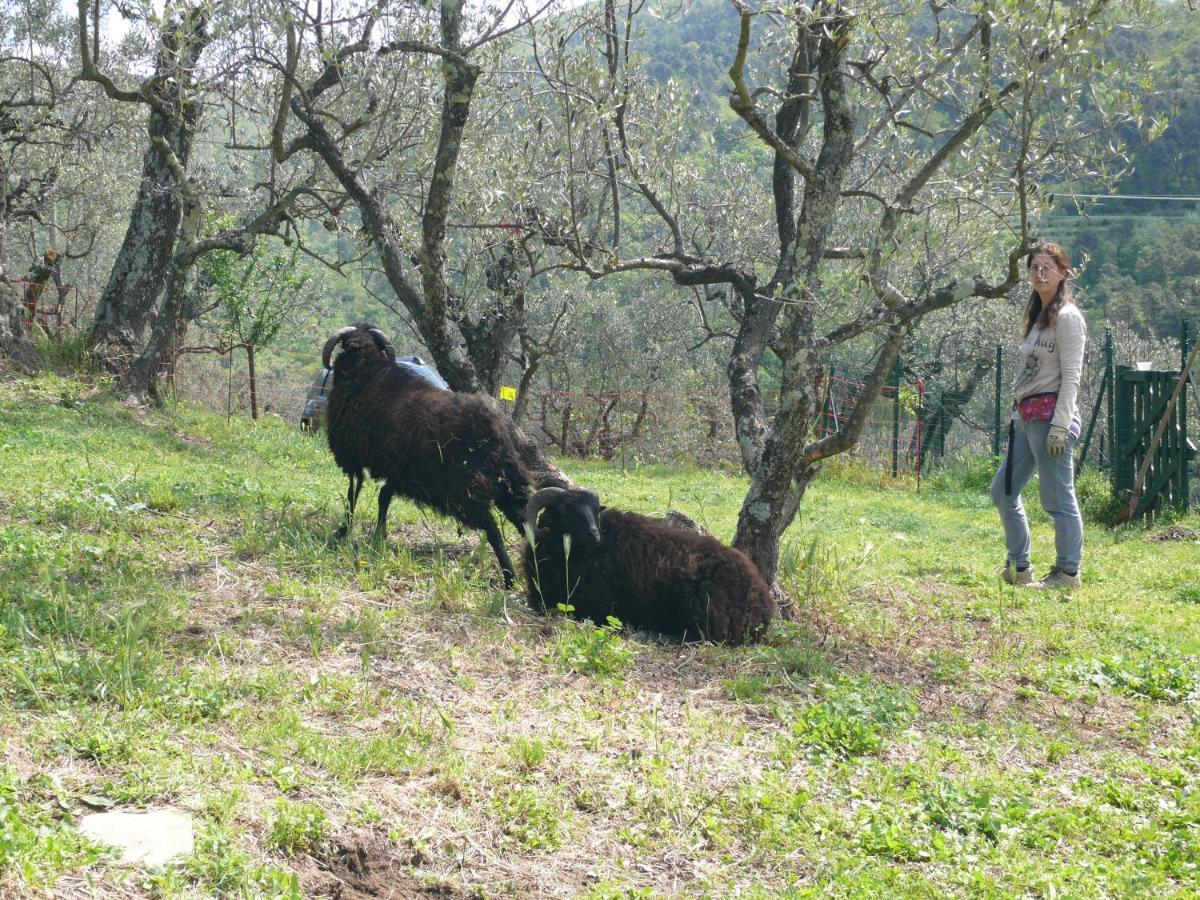 Antica Bottega Di Vinci