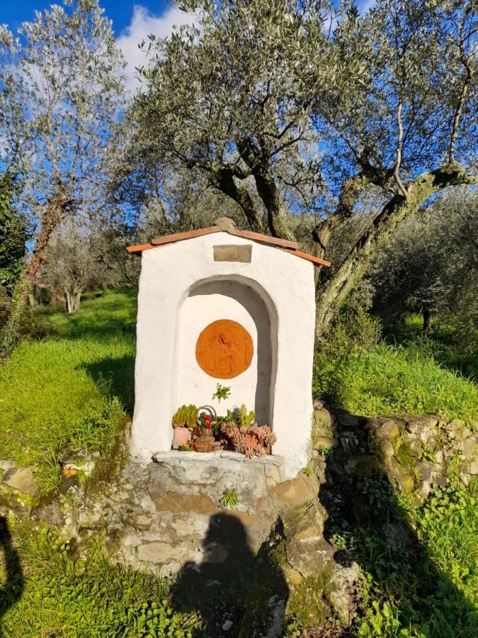 Bed & Breakfast Antica Bottega Di