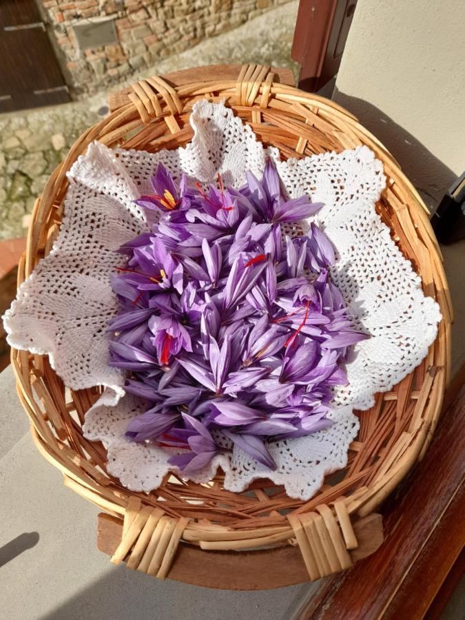 Antica Bottega Di Bed & Breakfast