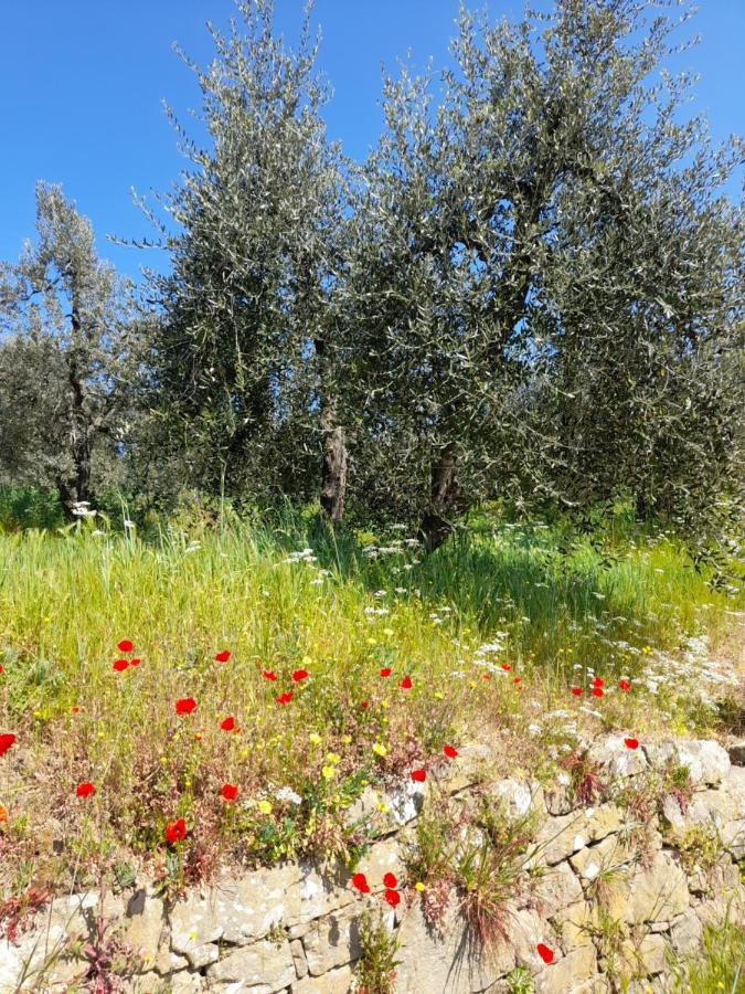 Antica Bottega Di Bed & Breakfast Vinci