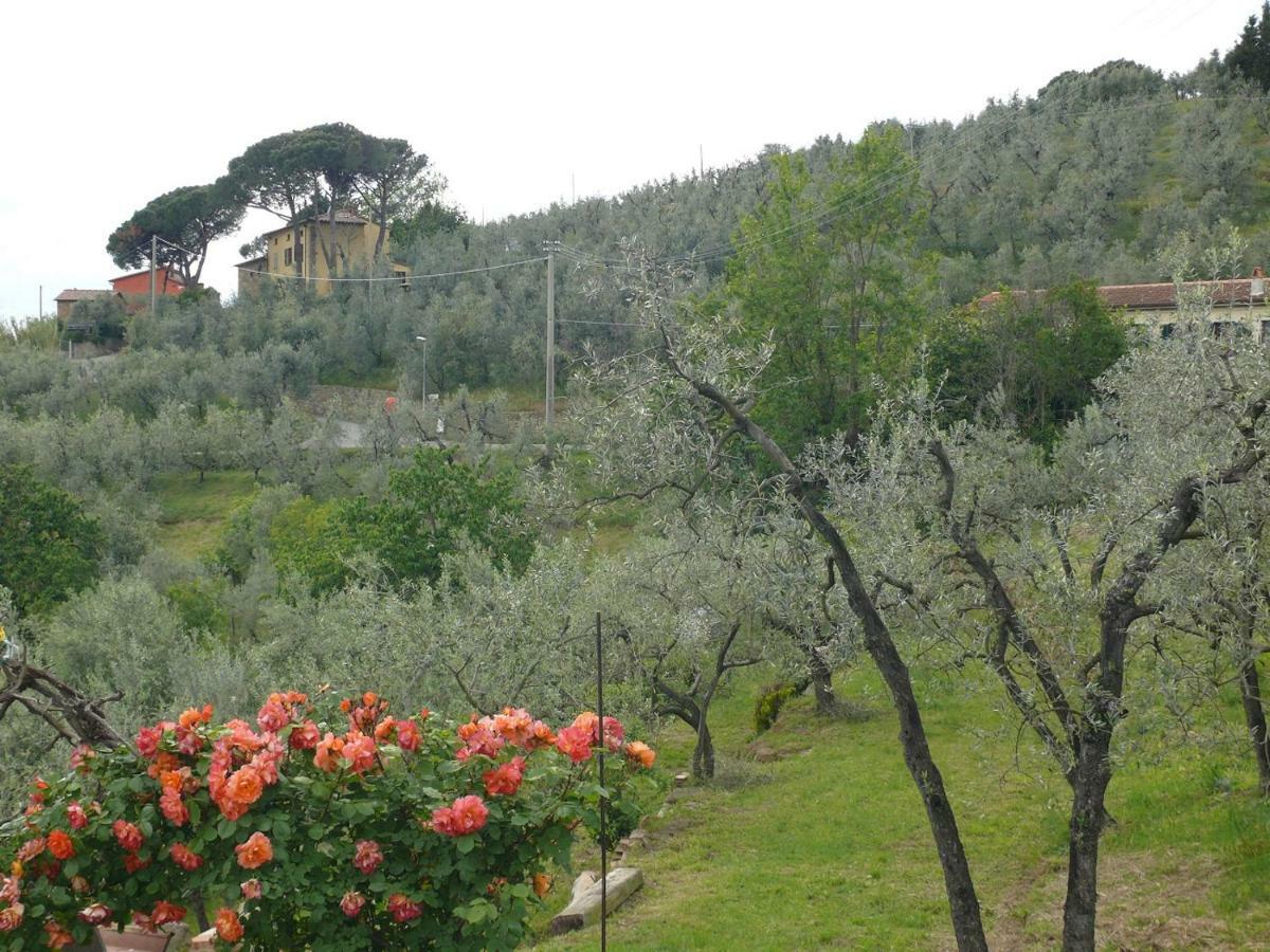 Antica Bottega Di *