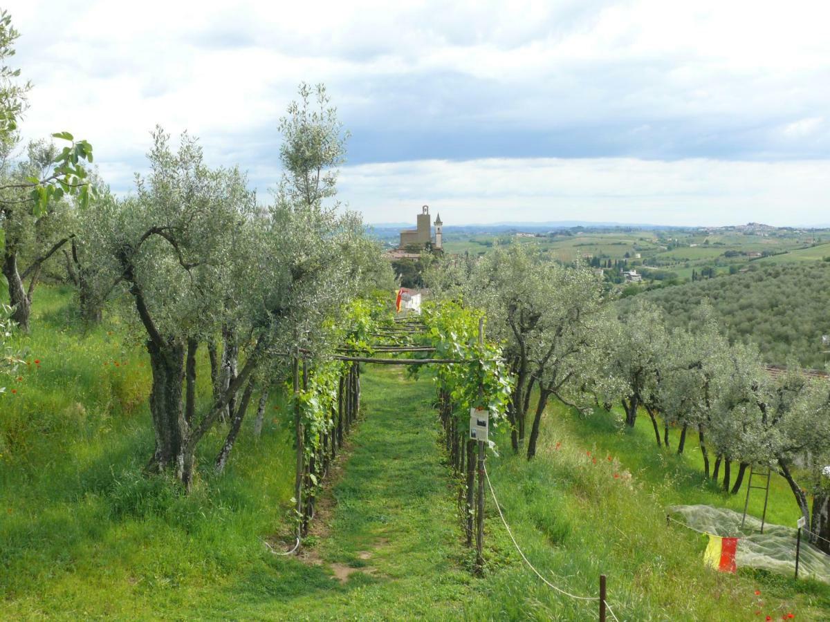Antica Bottega Di Vinci