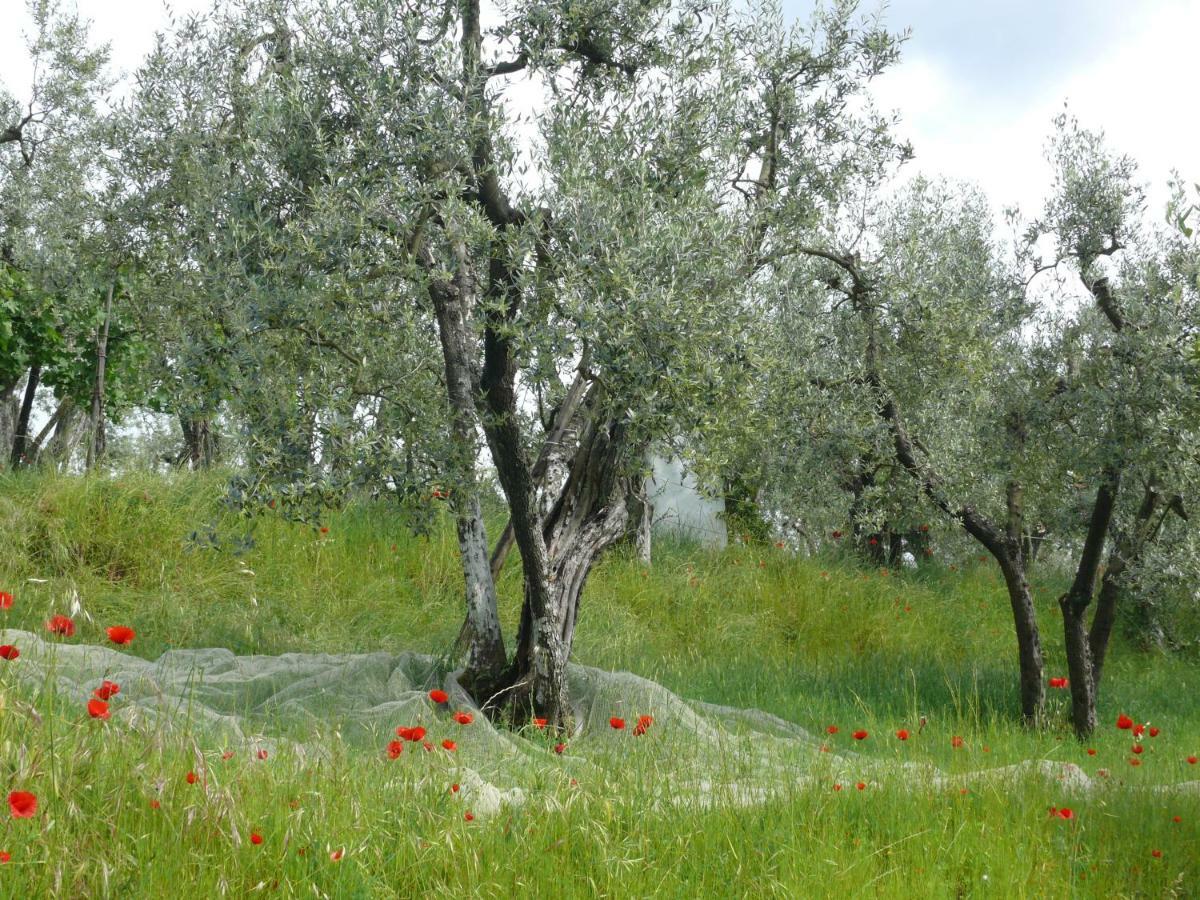 Antica Bottega Di Bed & Breakfast